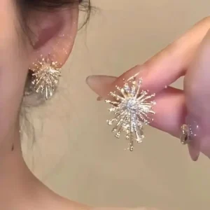 Boucles d'oreilles Feu d'Artifice Strass